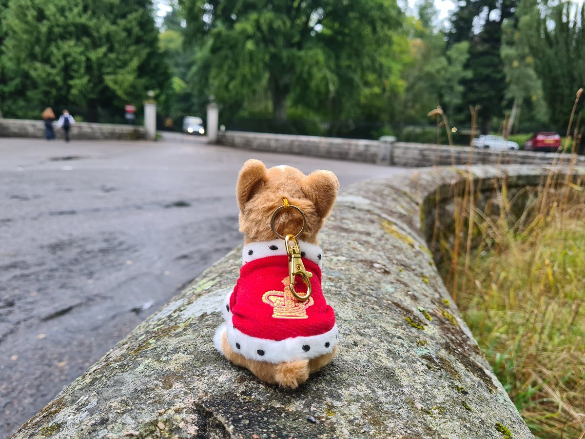 camillekrieg's tweet photo. Rest In Peace Your Majesty 👑🕊 
I took that photo of our travelling mascot Corginou waiting for The Queen at Balmoral just on Monday while on holiday in beautiful Scotland. How odd and special it feels now to have been there that day 🤍 https://t.co/jcxnZEKXh6