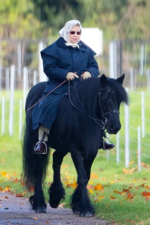 h9kee's tweet photo. So Sad ❤️‍🩹 Thank you Queen Elizabeth ll 😍 will always be in our hearts 🥰 https://t.co/1X2scBjIW3