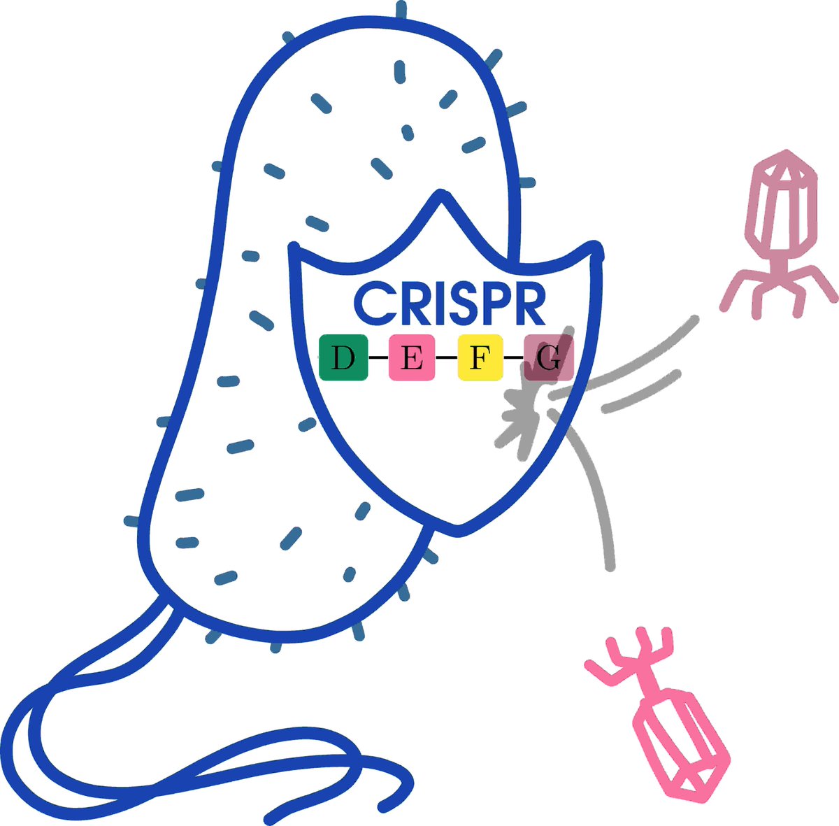 Franz Baumdicker tweet media