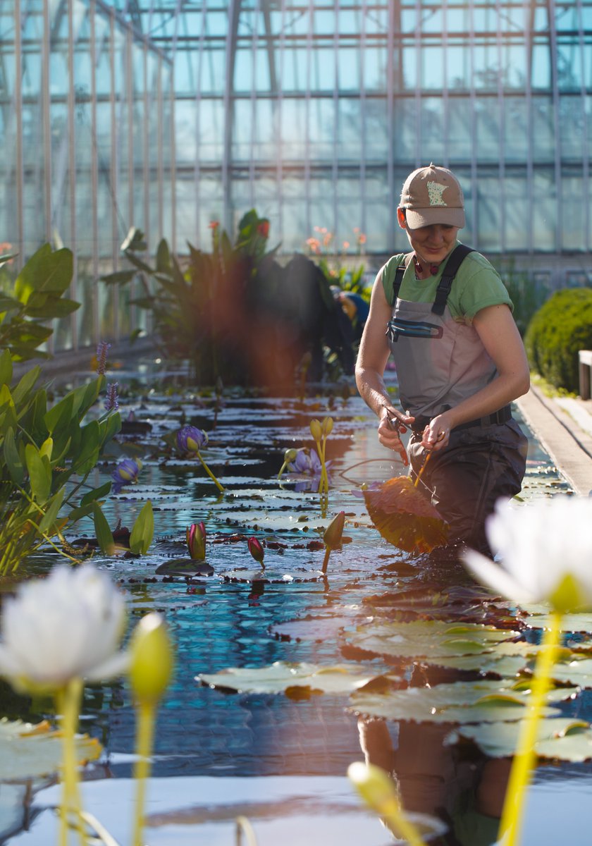 Como Friends tweet media