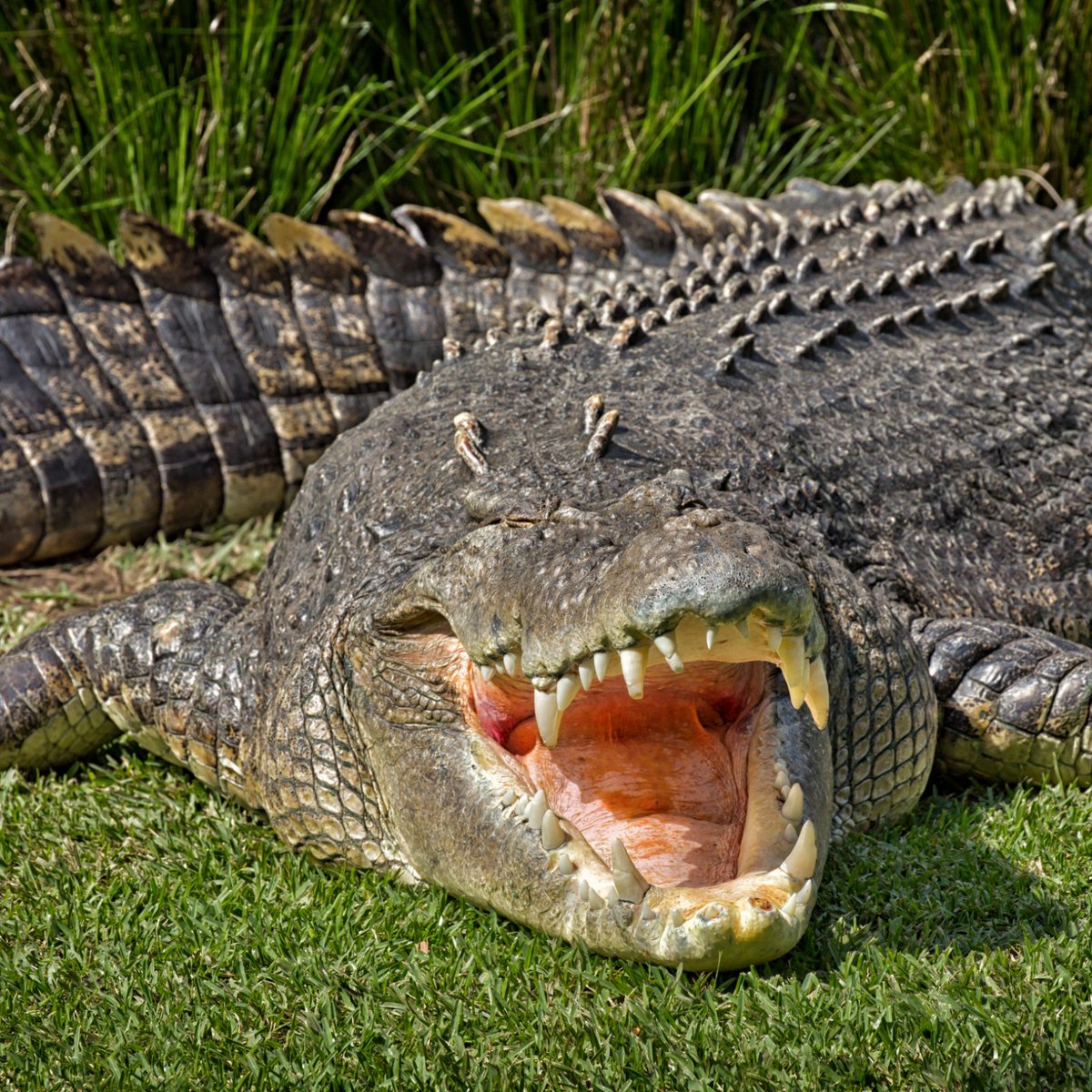 GatorsDaily's tweet photo. :D https://t.co/US0b2H08eg