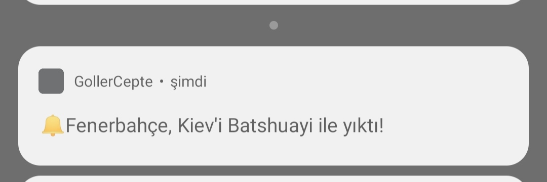 Putin: Hayır ben yıktım