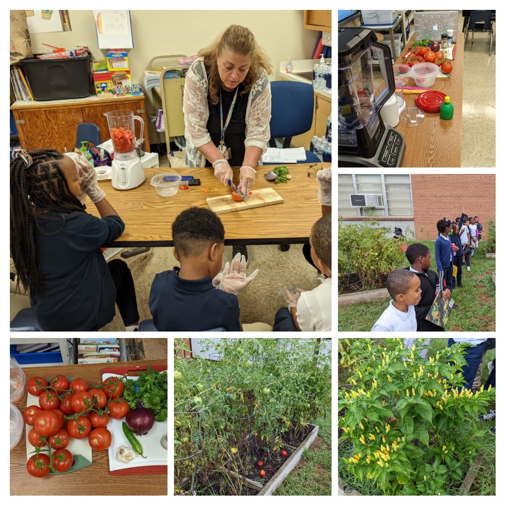 2nd and 3rdnfrade TAG Making salsa with ingredients from our Salsa Garden at Mattaponi ES! <a href="/MattaponiProud/">Mattaponi Elementary</a> <a href="/PGCPSTAG/">PGCPS TAG OFFICE</a>