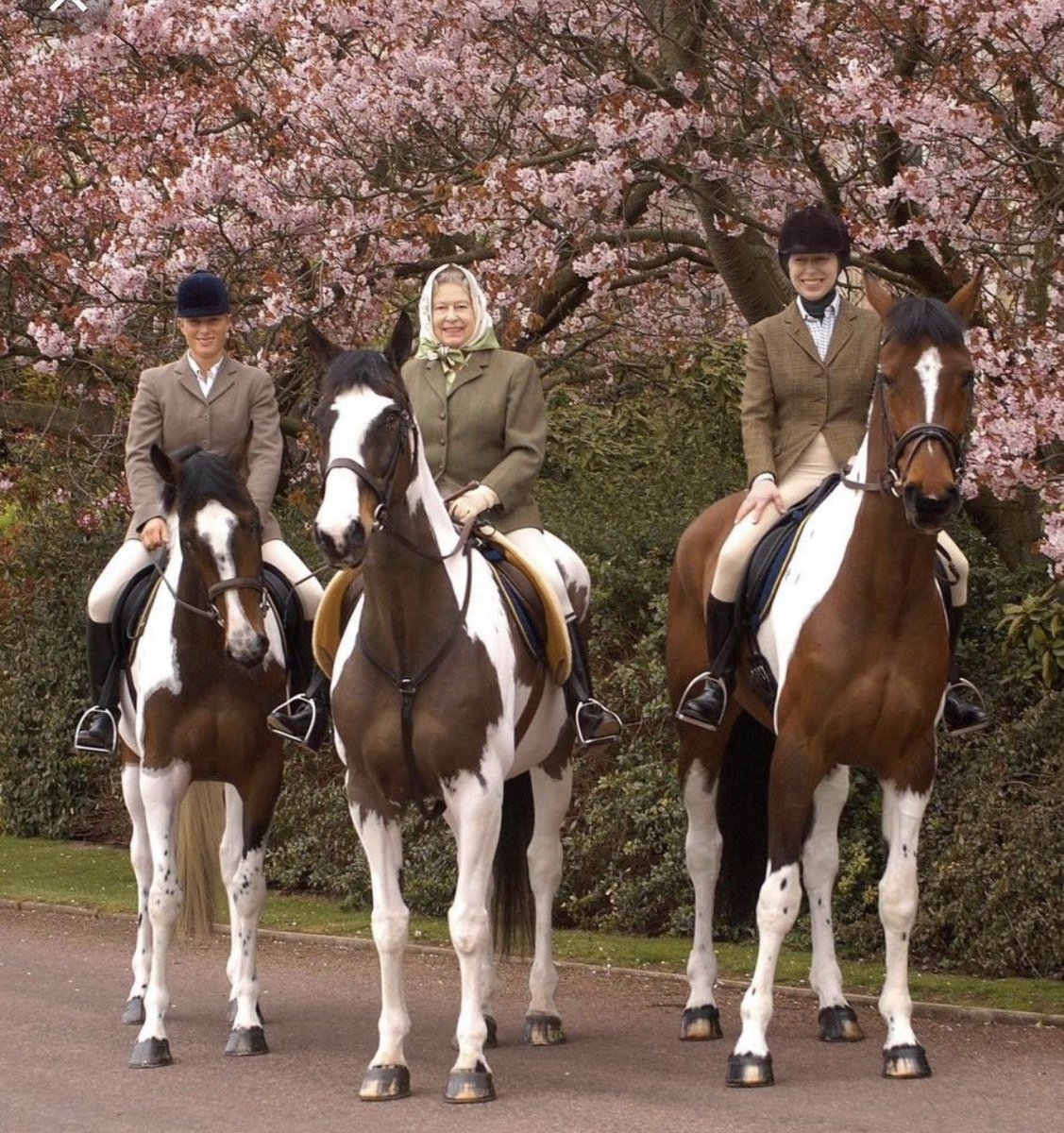 We are deeply saddened to hear of the passing of Her Majesty The Queen and we send our deepest condolences to her whole family. 

As a mark of respect we have decided to cancel our Open Day this Sunday.

Apologies to those who were coming. 

HM Queen Elizabeth 1926-2022