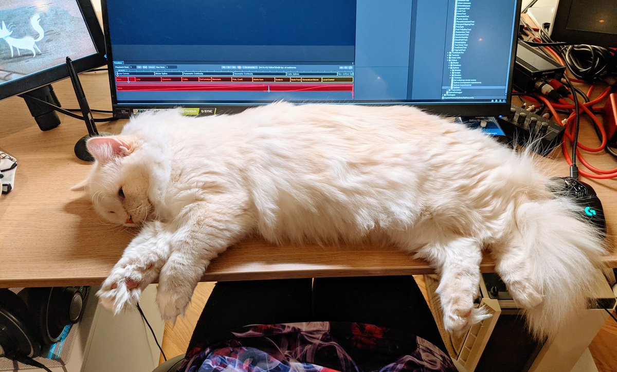 Freya Holmér tweet media