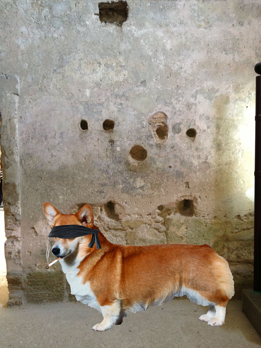 basleanbeck's tweet photo. @ashleyfeinberg Corgi Execution 8 September 2022 - colorized https://t.co/pyYGtpoRtM