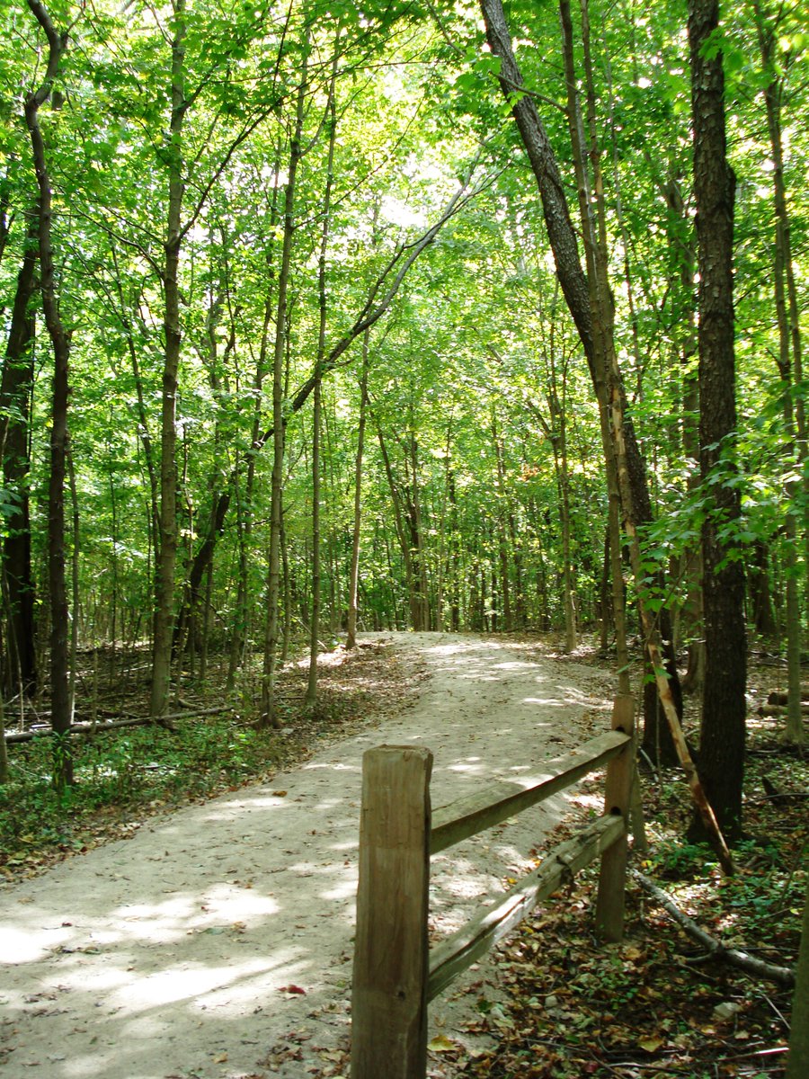 Preservation Parks tweet media