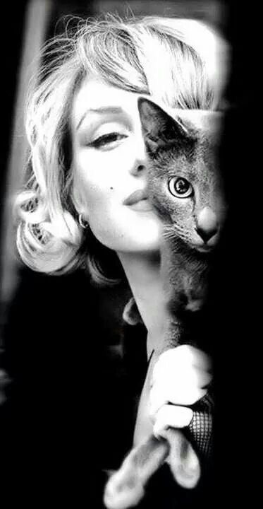 Relecture's tweet photo. #Marilyn #chat https://t.co/mFbymRGoPh