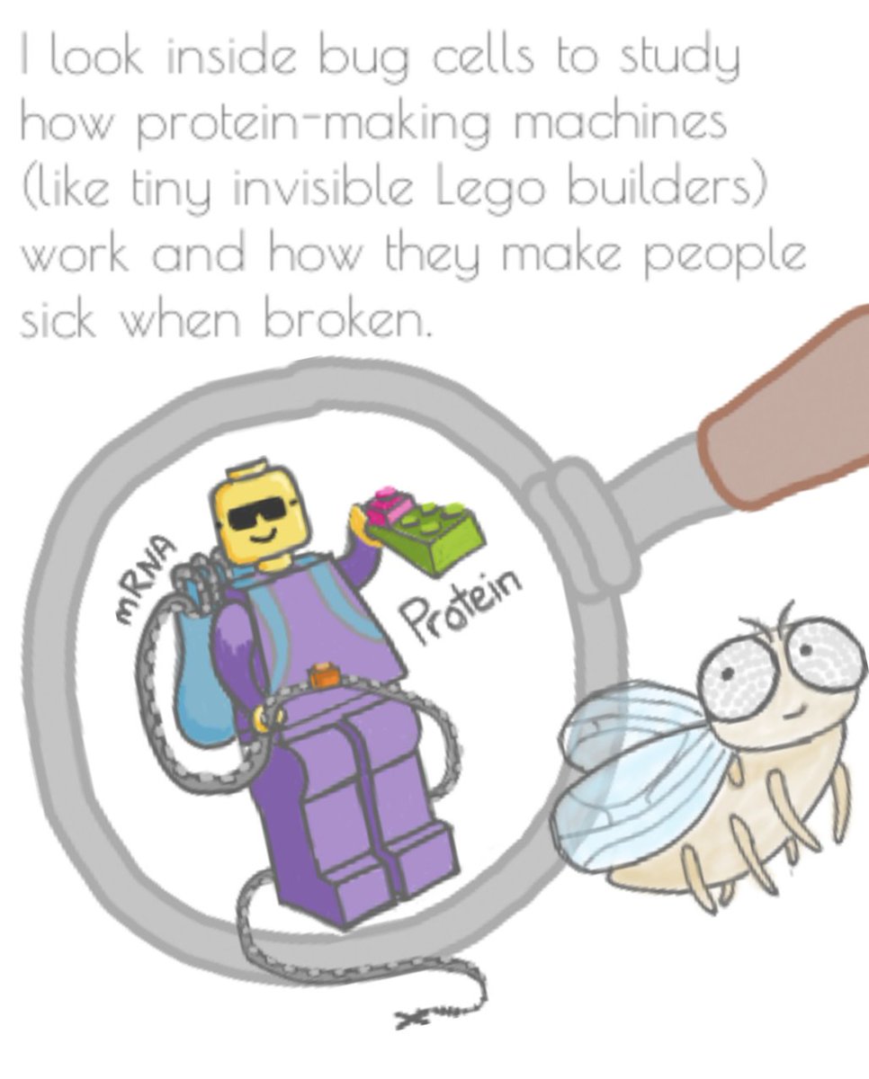 Caroline Pritchard tweet media