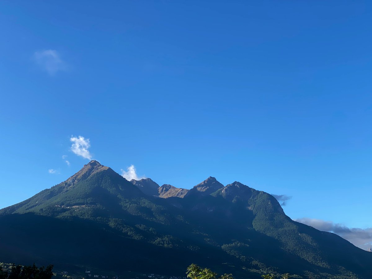 Mandy LEROUGE tweet media