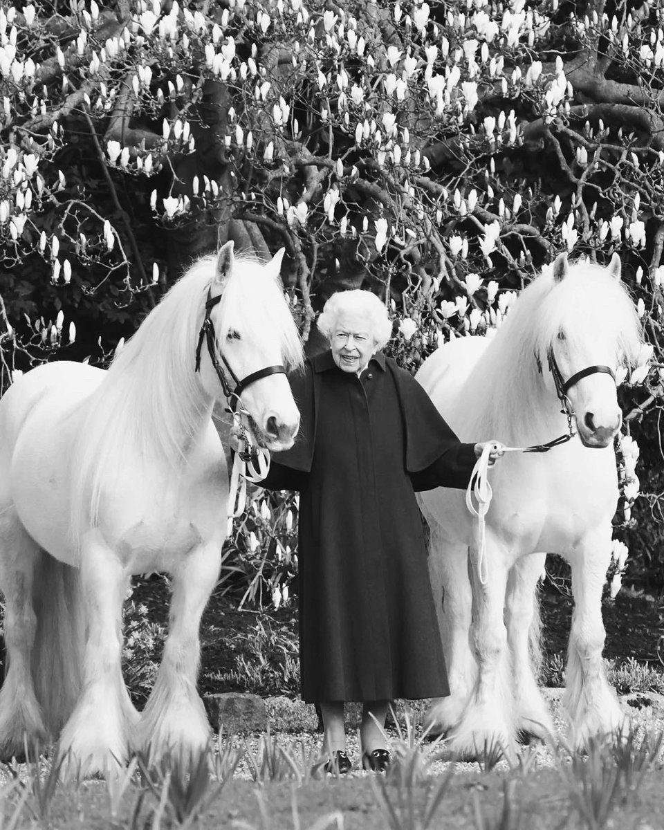 GCT_events's tweet photo. Today the world said goodbye to an extraordinary Monarch, and the most passionate supporter of the horse world - Her Majesty Queen Elizabeth II. 

LGCT sends its condolences to the Royal Family, Commonwealth and equestrian community - she will be deeply missed. https://t.co/3YtL4nPiq7