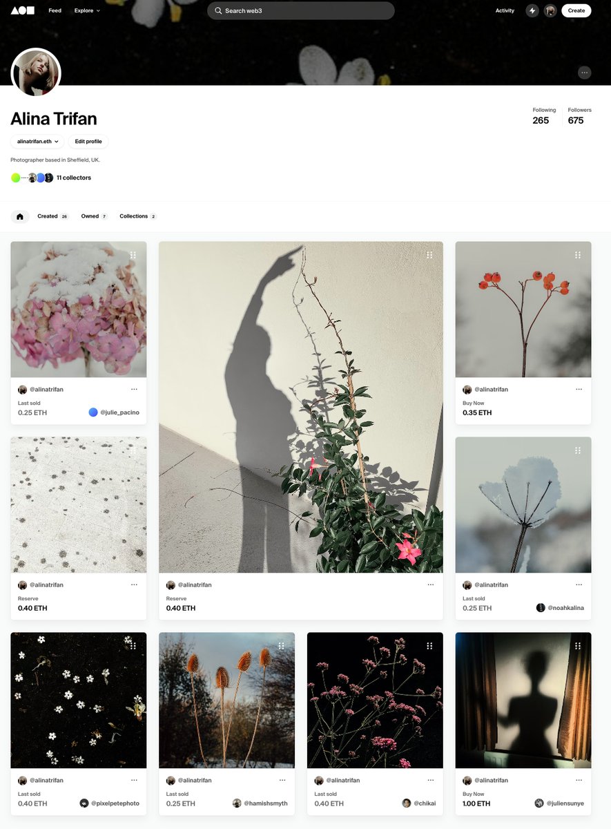 Alina Trifan tweet media