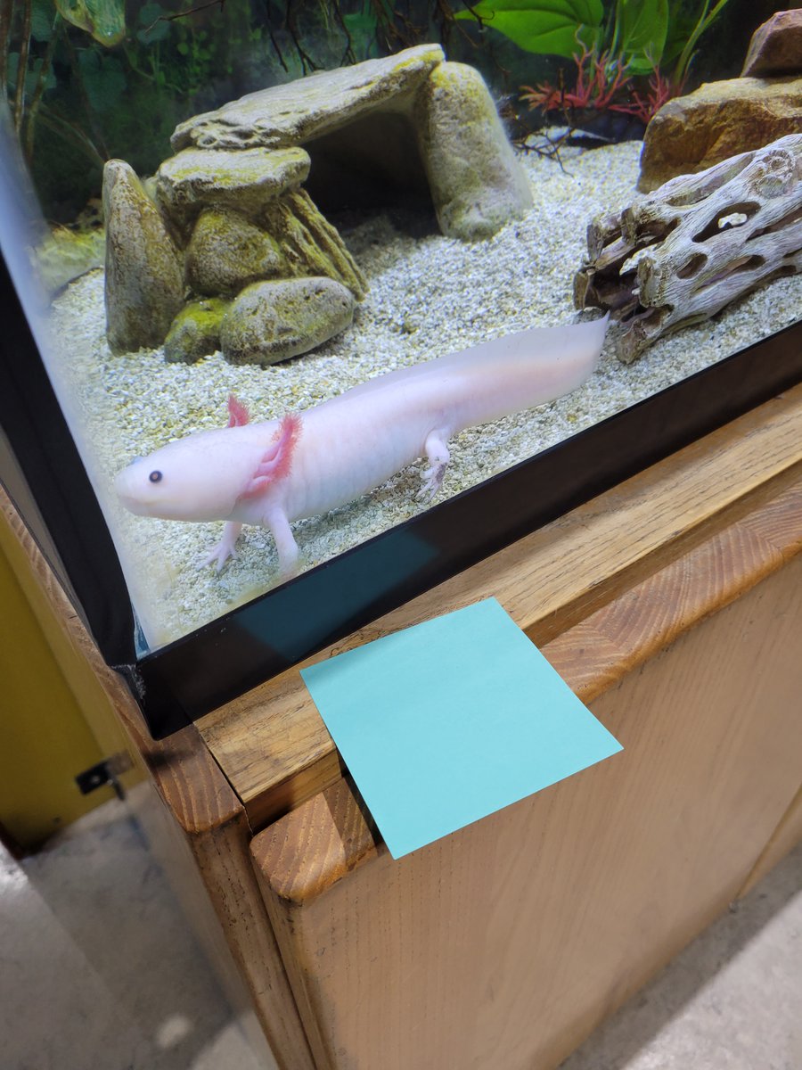 Explora Science Center tweet media