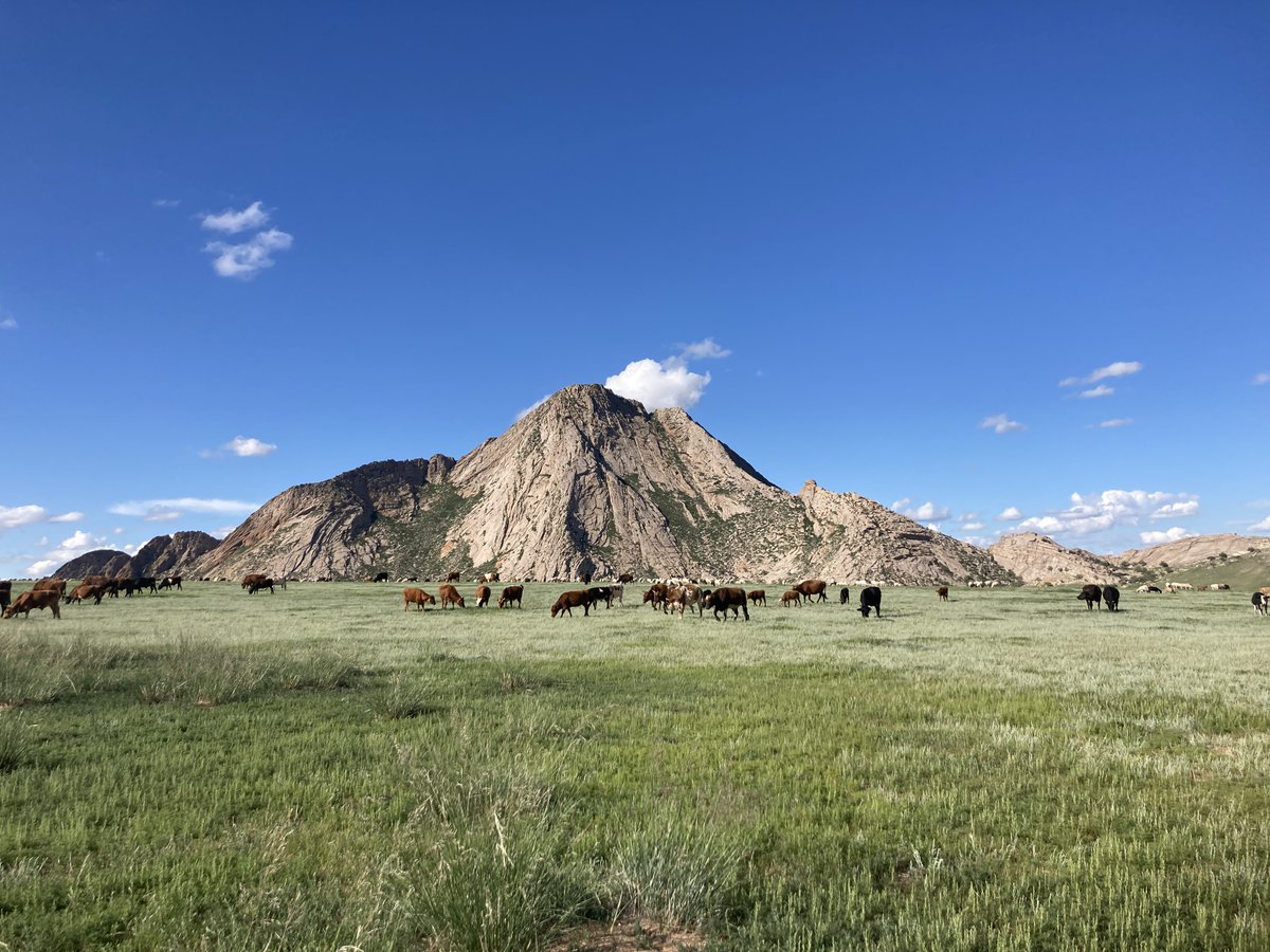 bio_uncg's tweet photo. Returning from abroad... after 6 weeks of mammal and parasite surveys across the vast Mongolian terrain, @oliviachapmn and @sousliks have returned to us with hands full of data and stomachs full of sheep! 😳😁 @STEPPNETproject #McLeanLab #MammalSurveysTakeGUTS https://t.co/NtE4hCUWOH