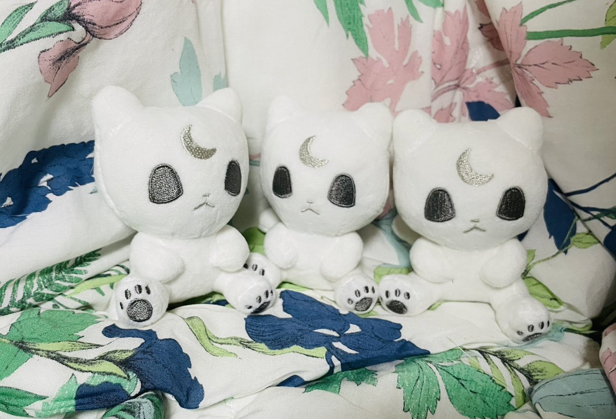 문냥이와 쪼끄미 닥스냥이 도착하였습니다! 추석연휴가 끝나고 배송출발할 예정이예요. 혹시 주소가 바뀌신 분들은 다음주 월요일까지 디엠 부탁드려요!