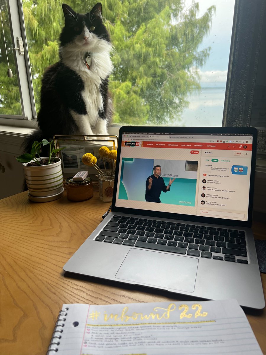 impulsecreative's tweet photo. Daphne agrees with @worldata: "When you are not known for something, you are known for nothing." Great advice for marketers and #CatsOnTwitter alike. #impulseatinbound #growsmarter https://t.co/gz3wEBIRPm