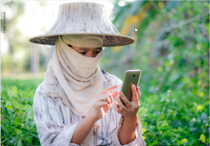 DOWNLOAD a briefing memo that offers an overview of women-owned agri-SMEs in #Indonesia &amp; proposes solutions to drive value chain #resilience &amp; #equity  
👉English: bit.ly/3etyPh3 
👉Bahasa: bit.ly/3etyWJv 
<a href="/Grow_Asia/">Grow Asia</a>, <a href="/JRTransition/">Just Rural Transition</a> &amp; <a href="/CrossBoundary/">CrossBoundary</a>