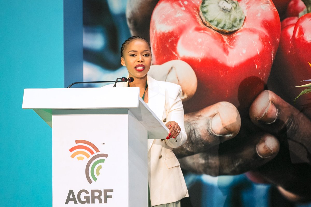 TheAGRF's tweet photo. “Africa's youth population will double by 2055 and true #foodsystems transformation will require their engagement. As we celebrate the @GoGettazAfrica winners, we are celebrating young #agripreneurs who are pioneering African solutions.” @TheRealNozi #youthtownhall #AGRF2022 https://t.co/WrDfROHQDW