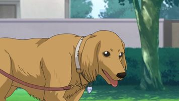 jatin_zadoo's tweet photo. #DetectiveConan
#Episode445
Detective Conan Anime is really good at showing the relationships between humans and animals.
From Dog to Birds to Bear and to Cat now.
The bond that humans and animals share in this anime is beautiful.
#anime https://t.co/x8sPGM5QNm