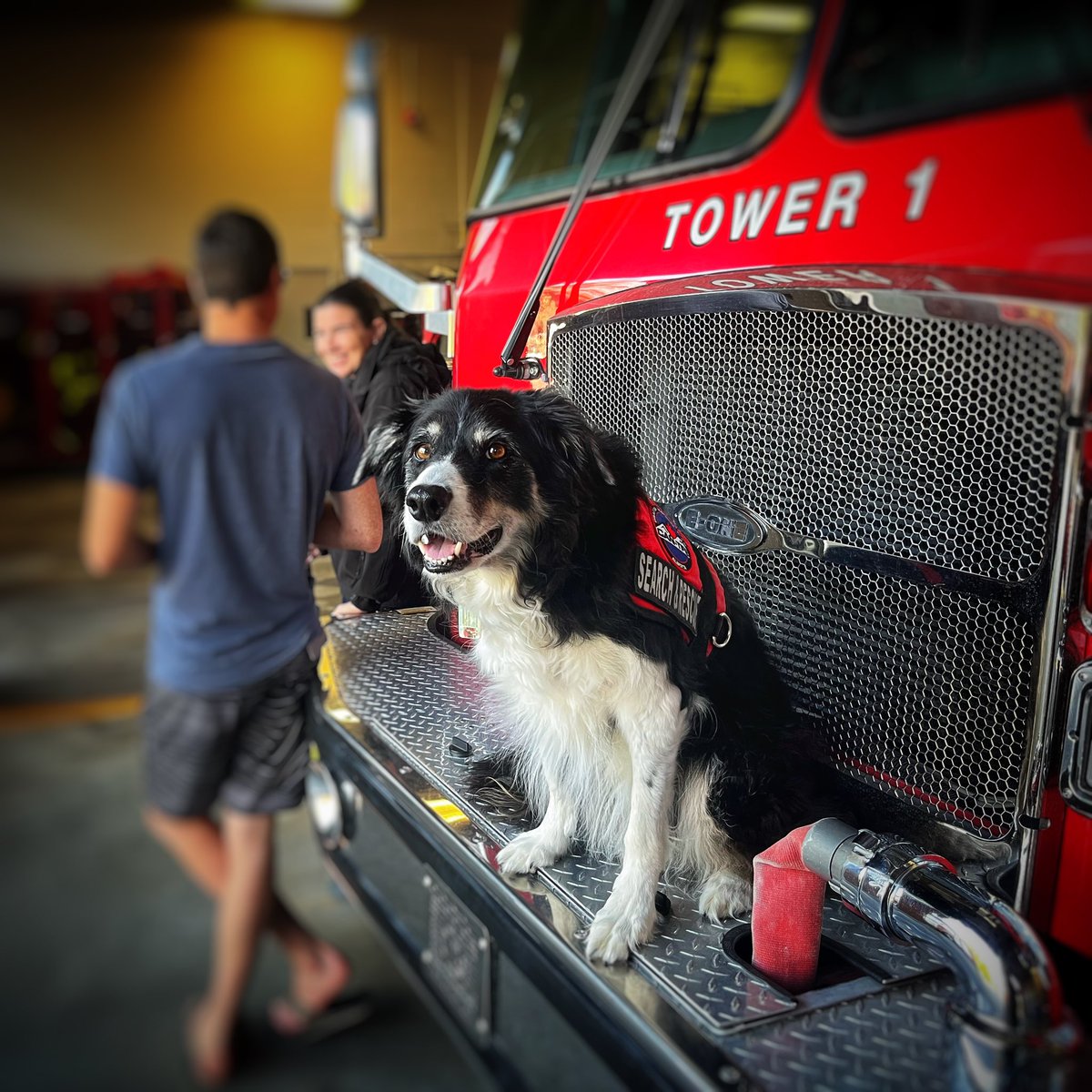 “ONCE YOU HAVE A FIREFIGHTER IN THE FAMILY, YOUR FAMILY AND THE FAMILIES OF (THE) CREW BECOME ONE BIG EXTENDED FAMILY”
~Denis Leary, Actor, Rescue Me, 2004-2011