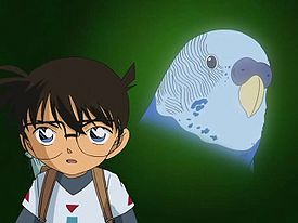 jatin_zadoo's tweet photo. #DetectiveConan
#Episode445
Detective Conan Anime is really good at showing the relationships between humans and animals.
From Dog to Birds to Bear and to Cat now.
The bond that humans and animals share in this anime is beautiful.
#anime https://t.co/x8sPGM5QNm