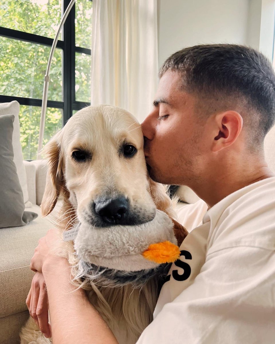 kaihavertz29's tweet photo. Birthday boy Balou 🐶🎉 https://t.co/UvUJ2AvJSZ