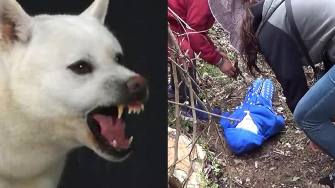 เรื่องนี้เป็นคดีประหลาดสุดสยองของเกาหลี เด็กสามขวบคนนึงถูกทรมานฝังอยู่ในโลงไม้ทั้งเป็น! ก่อนที่เด็กคนนี้จะหายสาบสูญจนแม่ออกตามหา แต่หารู้ไม่ว่าคนร้ายตัวจริงคือแม่เด็กคนนี้ และแม่ของเด็กคนนี้ยังอยู่ในลัทธิประหลาด “บูชาหมา” กินข้าวที่เหลือต่อจากหมากิน (อ่านต่อในเมนชั่น)