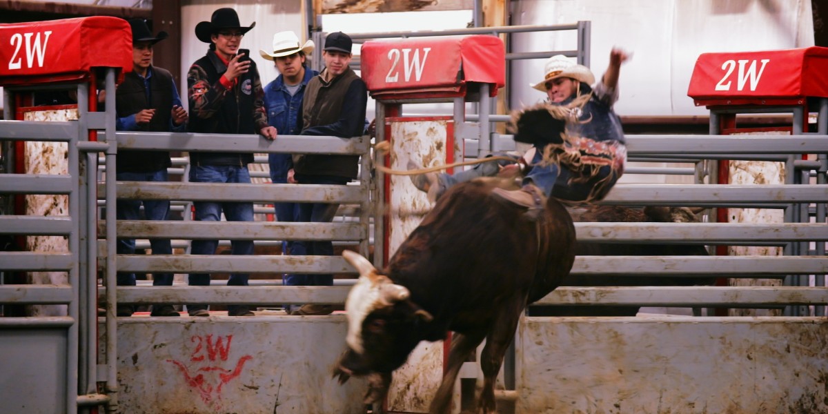 APTNtv's tweet photo. #RodeoNationย is a documentary series that follows five Indigenous rodeo riders hoping to win big at the Indian National Finals Rodeo in Las Vegas.
Watch the series premiere this Friday, Sept 9, at 8:00 pm ET on APTN. Also available in Blackfoot. https://t.co/OFWJSw6yTc