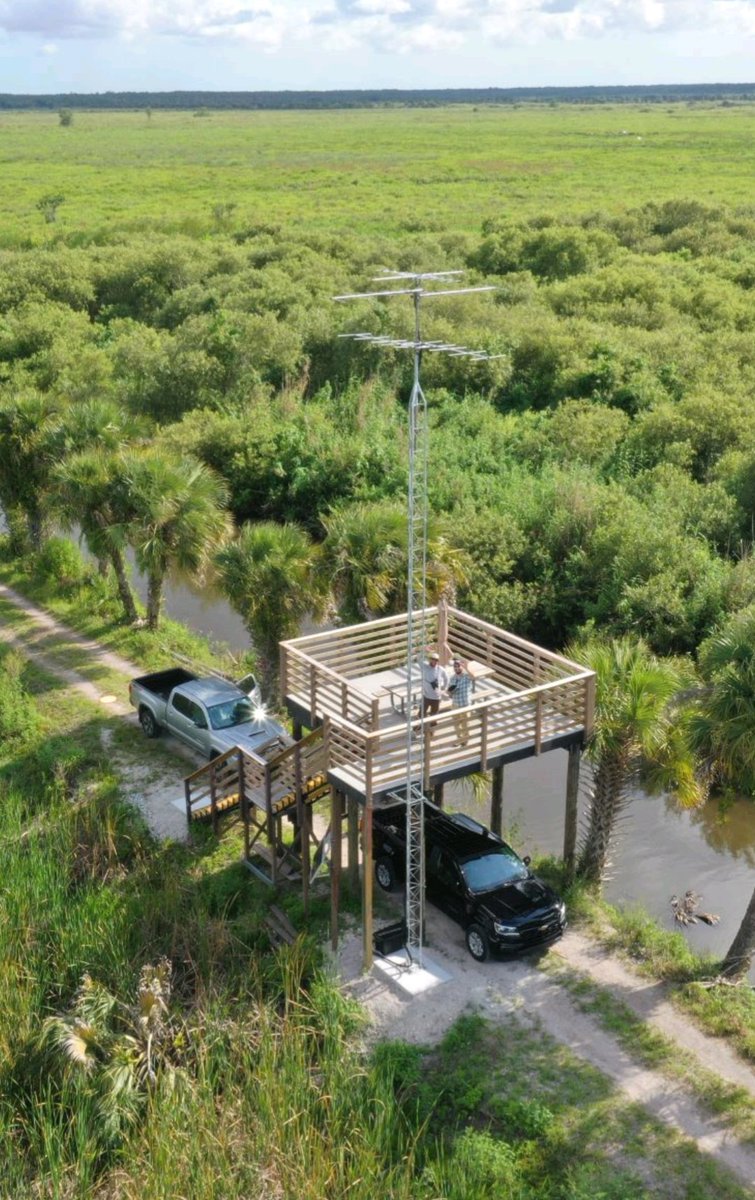 Bill DeLuca tweet media