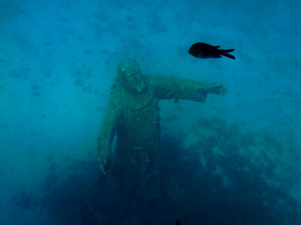 ViaggiSub's tweet photo. Tuffati fra le pennellate di colore delle #IsoleTremiti. 
#scubadiving #immersionisubacquee
 https://t.co/kmV3EFBa0N https://t.co/oJeKM8iUlZ