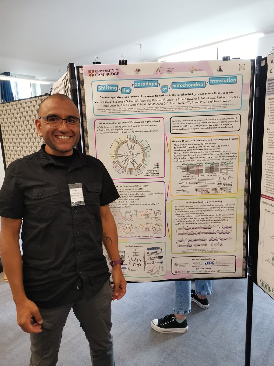 CamWallerLab's tweet photo. Last but not least, @vflorelo with the frameshifts observed in #perkinsus #mitochondria genomes #CJM4 https://t.co/NN8EYnfLZ9