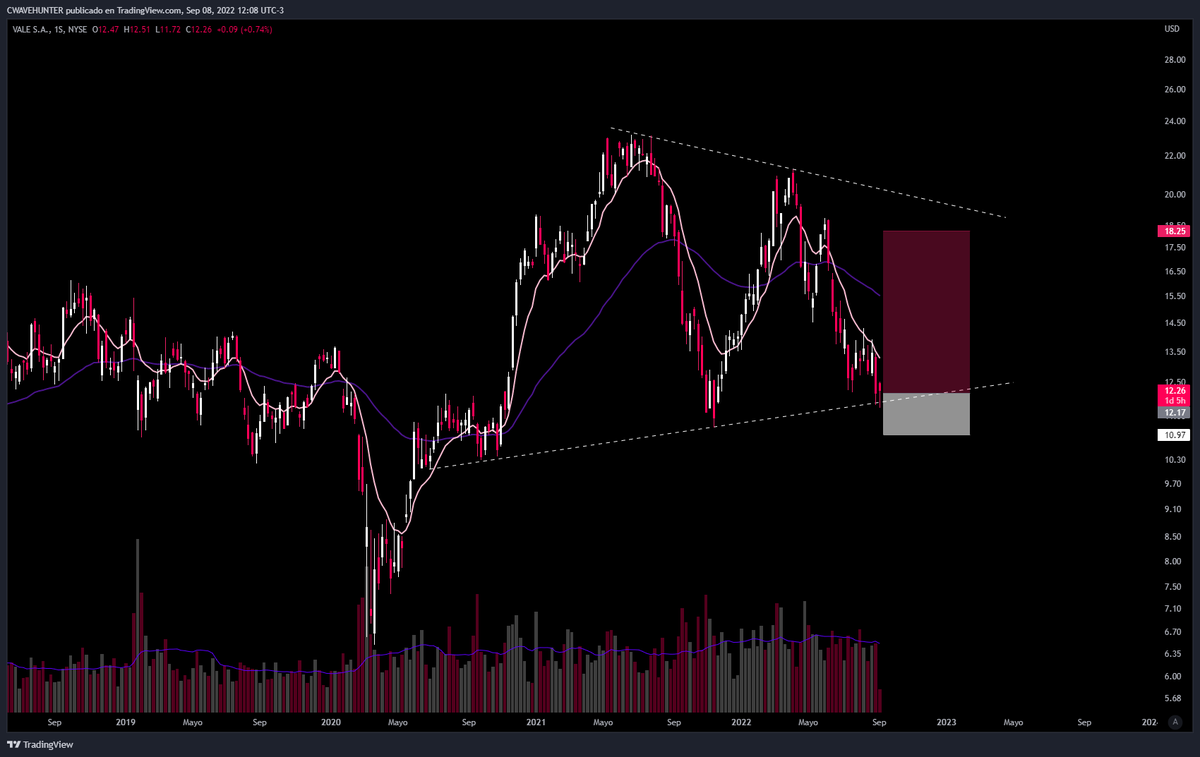 cwavehunter's tweet image. Compra $VALE  pibe que el $EWZ se va para arriba