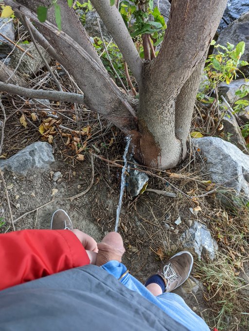 *sigh* that felt good #publicpiss https://t.co/0GPq5WrCYP<a href="/tag/publicpiss"class="tags">#publicpiss</a>