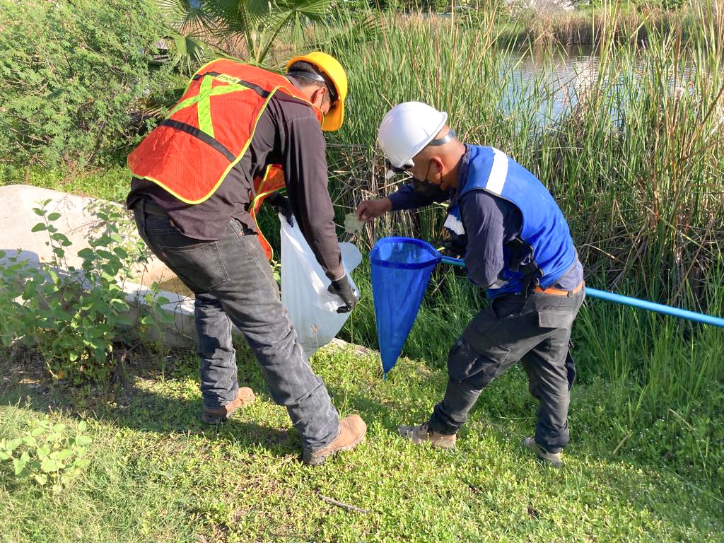 grupo_arhe's tweet photo. Personal del Nuevo Acuario de Mazatlán, apoyados por colaboradores de COSECO, Vica, Citelum y Paraíso, empresas que trabajan en la construcción de la obra, realizaron la limpieza de la Laguna del Camarón.

#JuntosSomosMásGrandes #GrupoARHE #COSECO #JuanJoséArellanoHernández https://t.co/j6yabzWewR