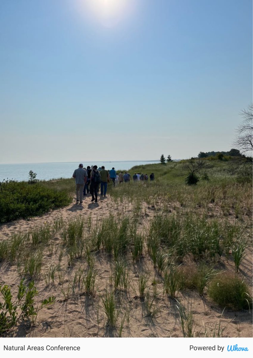 Rebecca Holmstrom MNDNR leads a dune ecology field trip at Bay Mouth Bar, Duluth, MN #TrialSampleTwitter via Whova event app whova.com/whova-event-ap…