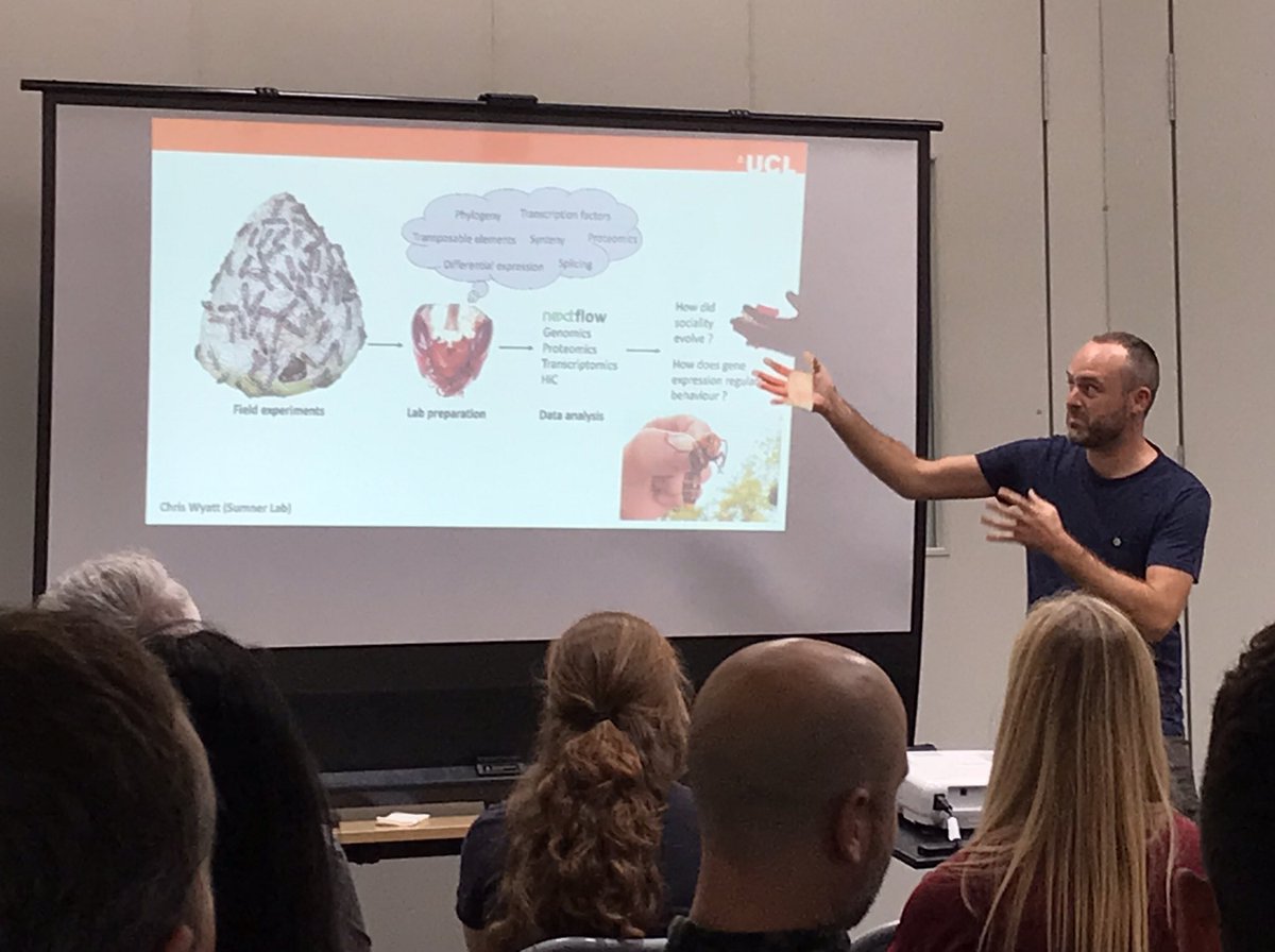 WaspWoman's tweet photo. Loving the flash talks @UCLCBER #retreat. Shout out to celebrate all our lovely #wasplab members and their awesome science! 🥰🥰 @EmelineFavreau @Cin_Oi @ionace @LewisRevely @Wyatt1Chris @OwenRCorbett @UCLLifeSciences @uclbiosciences @BroadGavin @red_termite https://t.co/mpaYRJ4L00