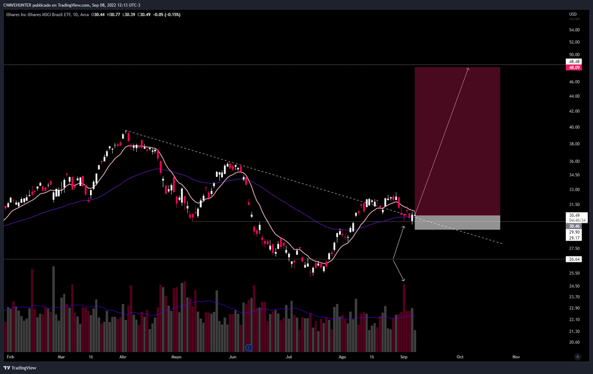 cwavehunter's tweet image. Compra $VALE  pibe que el $EWZ se va para arriba