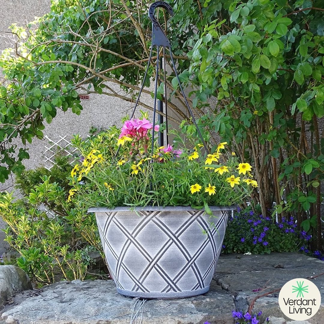 VerdantLivingUK's tweet photo. Take a look at our beautiful Bell Lattice Hanging Baskets! 🌺🌸

Hang them around your garden, and alternate them to create a stunning display! 🏡

To shop the full range today click the Amazon  link in my bio! 🔗

#Amazon #VerdantLiving #garden #VerdantLife #BellLattice https://t.co/YeWNrqtCUp