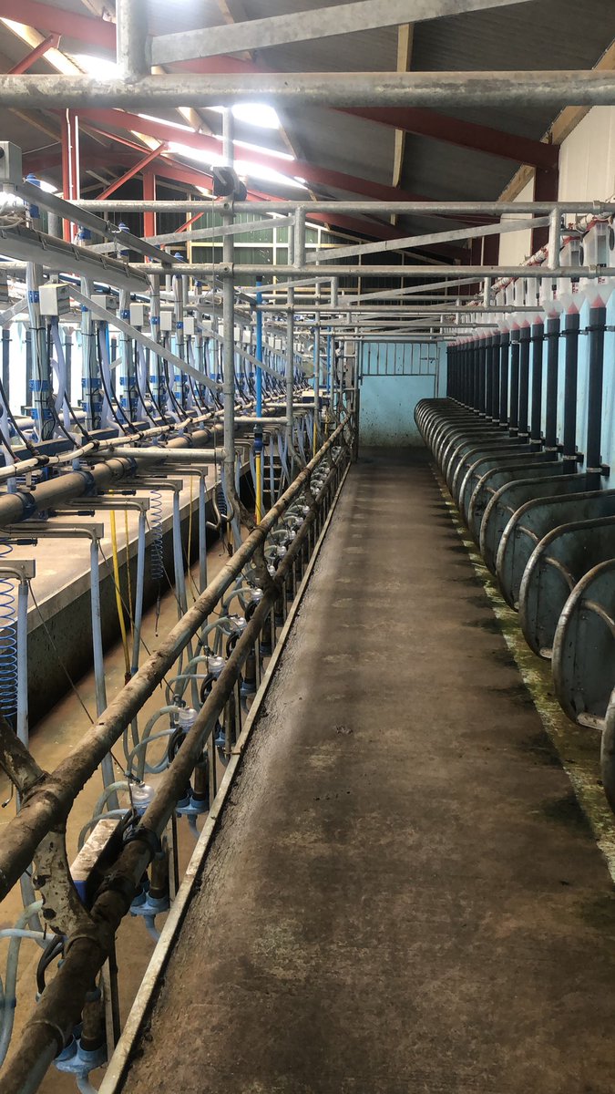 PROBLEM with cows sh1ting as soon as I open front air gate for cows to exit. At least half of every row will sh1t. Any advice greatly appreciated. No problem before or during milking. Thanks