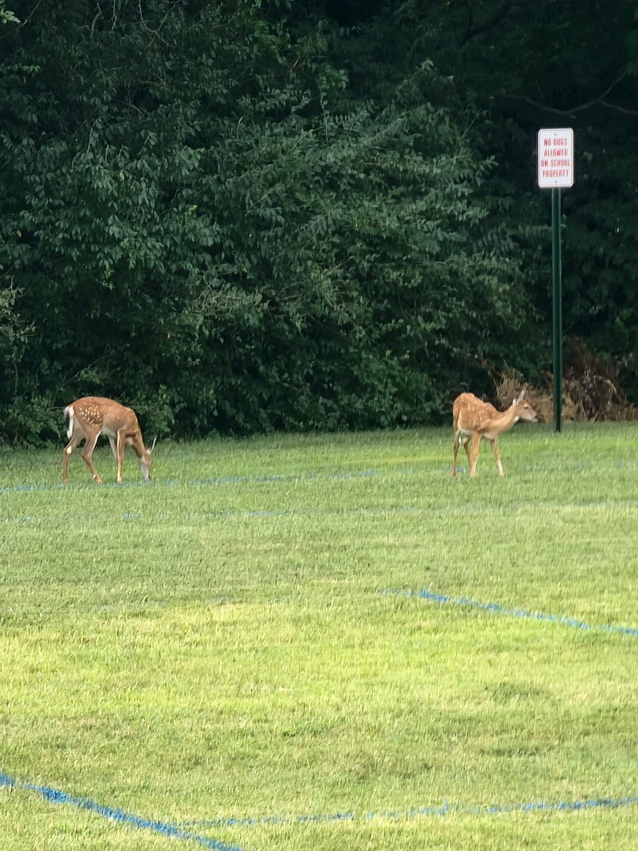 Hoffman-Boston STEM tweet media