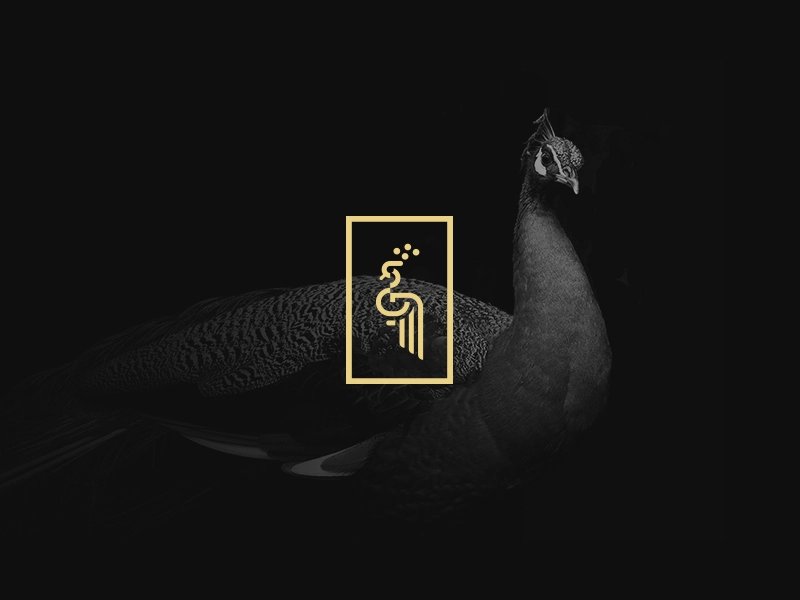 HDesign_adv's tweet photo. جاهزون لخدمتكم بكل شغف 🥰
#اتش_ديزاين
نهتم بأدق التفاصيل

#ماذا_قدم_ولي_العهد_للمواطن #النفسية_محتاجة #iPhone14 #مصمم https://t.co/1DWsLPu0dj