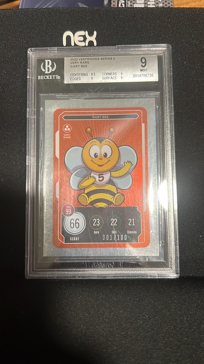TGer_01's tweet photo. These just landed. Slightly bummed with the Persians but happy with the Gary Bee!  What are my fellow @veefriends thoughts?! @garyvee #Veefriends #WeGotAHit #BGS https://t.co/I2jo3bdlBE