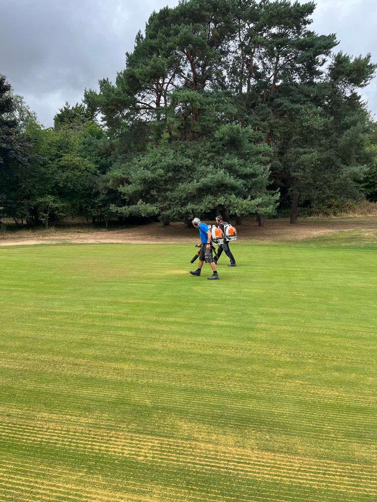 BurnhamBgolf's tweet photo. National Thank you to Green Keepers Day, if Carlsberg did green keepers it would be the team @BurnhamBgolf @carlsberg @BishotheBaldy @ballyball62  thank you guys you should be so very proud of your product and work ethic 👏🏻👏🏻👏🏻👍🏻👍🏻👍🏻👍🏻💪🏻💪🏻💪🏻 Burnham Beeches Golf Club https://t.co/PhWDBWk84j