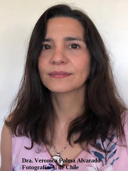 AICACL's tweet photo. @ICBM_UChile 
@MarkusUhrig 
#BárbaraSCasas
#CatalinaPPrieto
#CélulasMadre
#CélulasTroncales
#CientíficosChilenos
#GabrielaVitória
#IDOR
#MarianaCasas
#StevensKRehen
#VerónicaPalma

En @AICACL destacamos #InvestigaciónCientífica #Esquizofrenia https://t.co/QFRoW4e9p7 https://t.co/FWctstaEAp