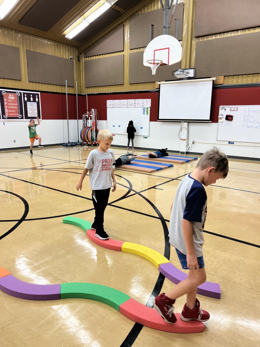PrincipalRuyle's tweet photo. Motor lab has started at @twomileprairie! Students are having fun while developing skills necessary for learning readiness and mastery of the environment! #motorlab #prairieproud #cpsbest @KAThompson05 https://t.co/J25H69drHf