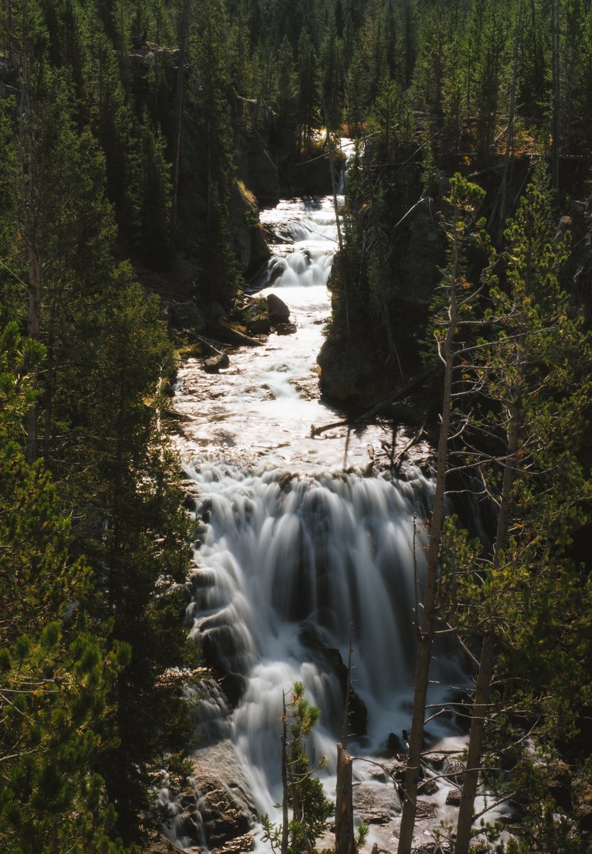 Gm friends
To the
fleeting summer days