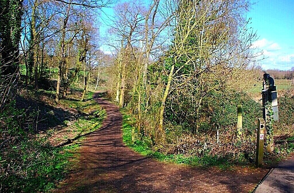 TheSuffolkMan's tweet photo. #Sandlings #Walk #Kyson #Woods @TheKentAcorn @suffolksnaps @DiscoverSuffolk @SamWalksALot @walkngclasshero @RamblersGB @GrowninBritain @keeper_of_books @mathilebrandts @Sunstormed @TheCemetress @meikiecakie @AspienBlue @LanesTree https://t.co/NzvhbQMsxf https://t.co/DVhG3AZyvf https://t.co/c9BsUS2KE0