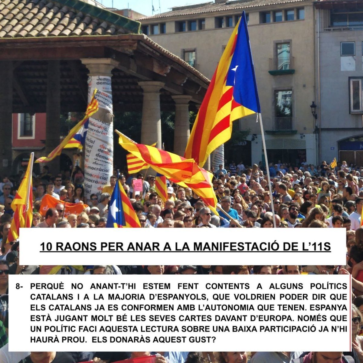 ANC Sant Celoni tweet media