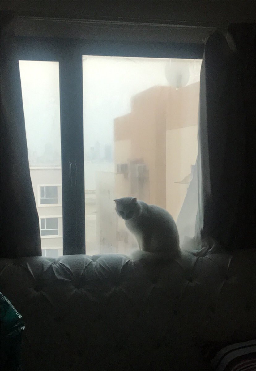 _Silver51's tweet photo. https://t.co/eGyDIL0rSN