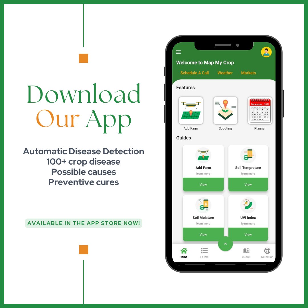 mapmycrop's tweet photo. All through the production cycle, many diseases infest cotton crops. 
The most frequent cotton diseases and preventive measures for defending the crop are listed here. 

 #explore #usa #mapmycrop #likeforlikes  #cotton #farmers #farming #farmlife  #farmingtips #cropoftheweek https://t.co/4KFRe0wSLm